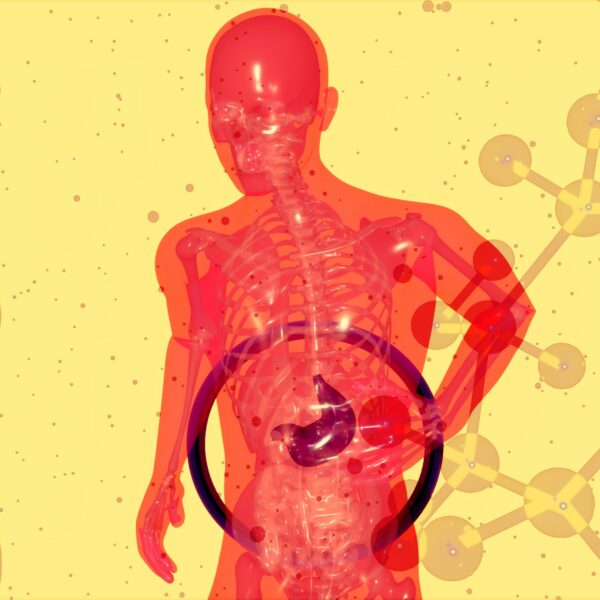 gut metabolism