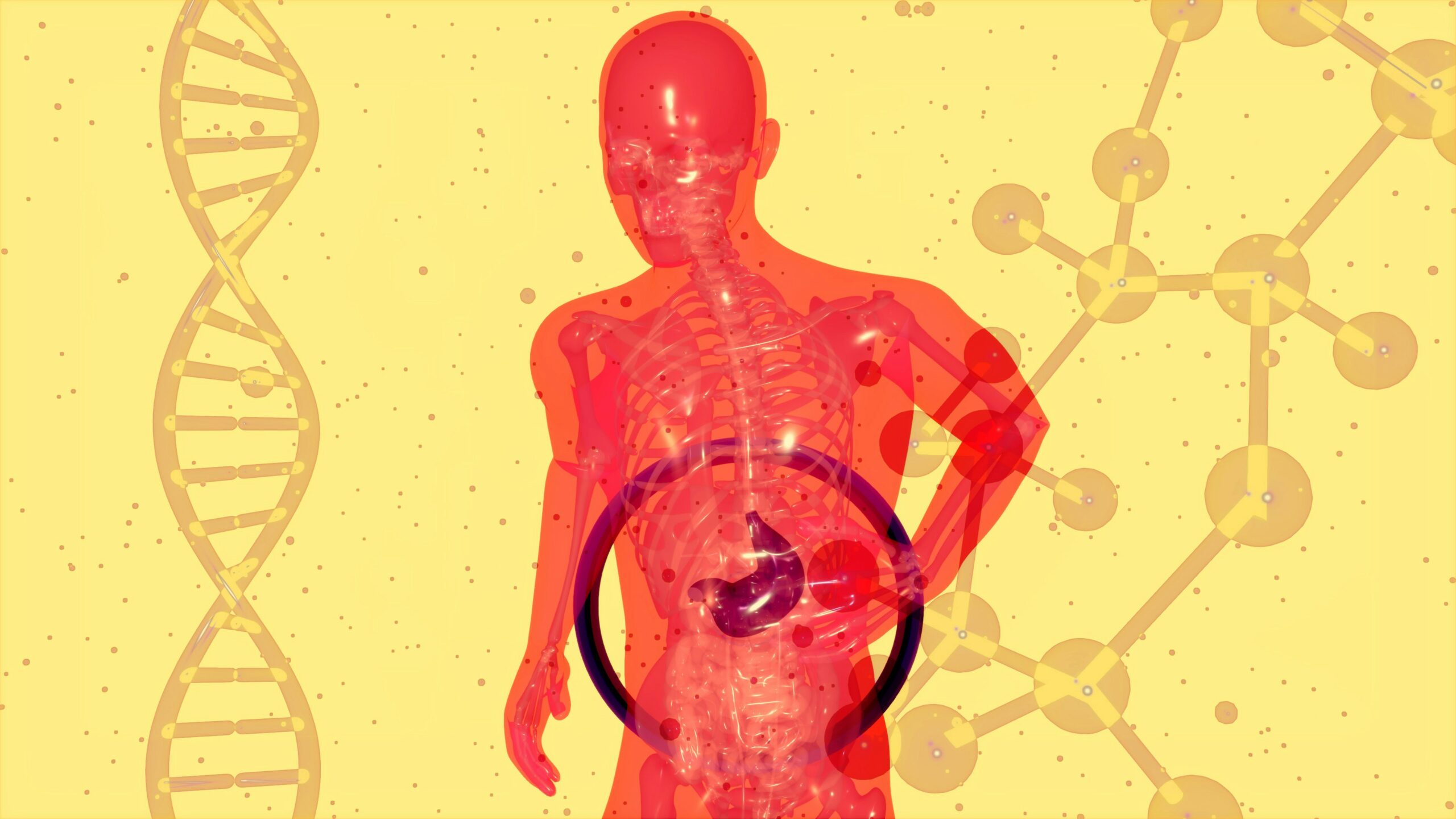 gut metabolism